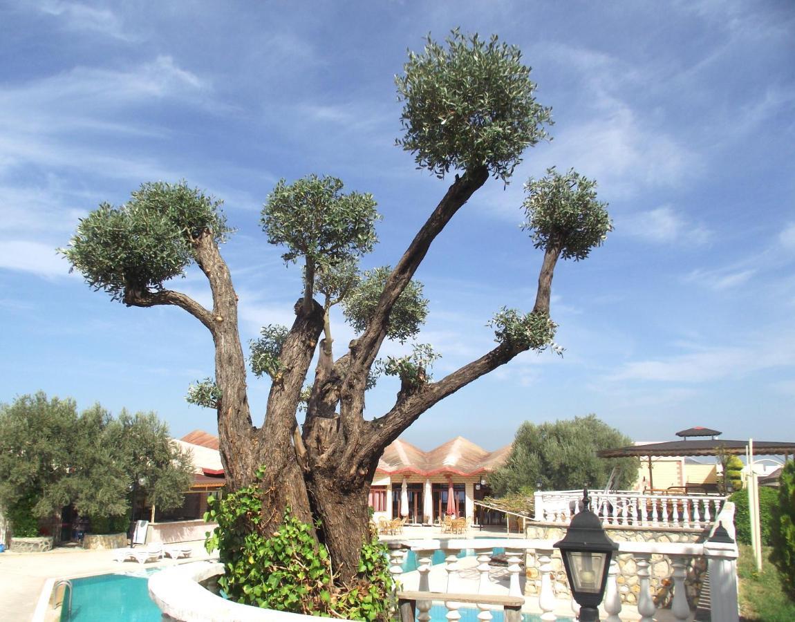 Alize Resort Hotel Yenifoca Exterior photo